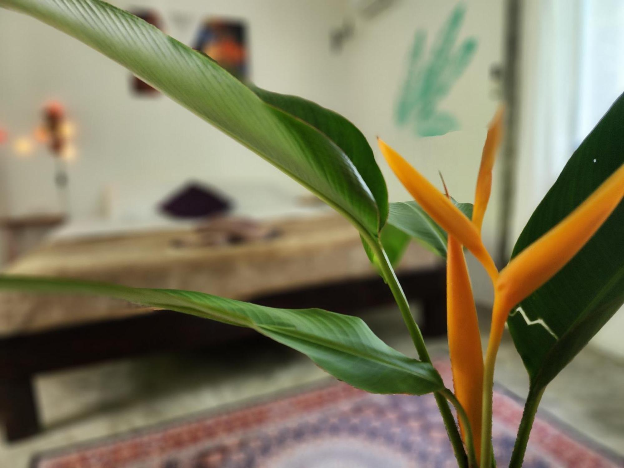 Feel Home No 3 Private House 2Br Hinkong Ngoại thất bức ảnh
