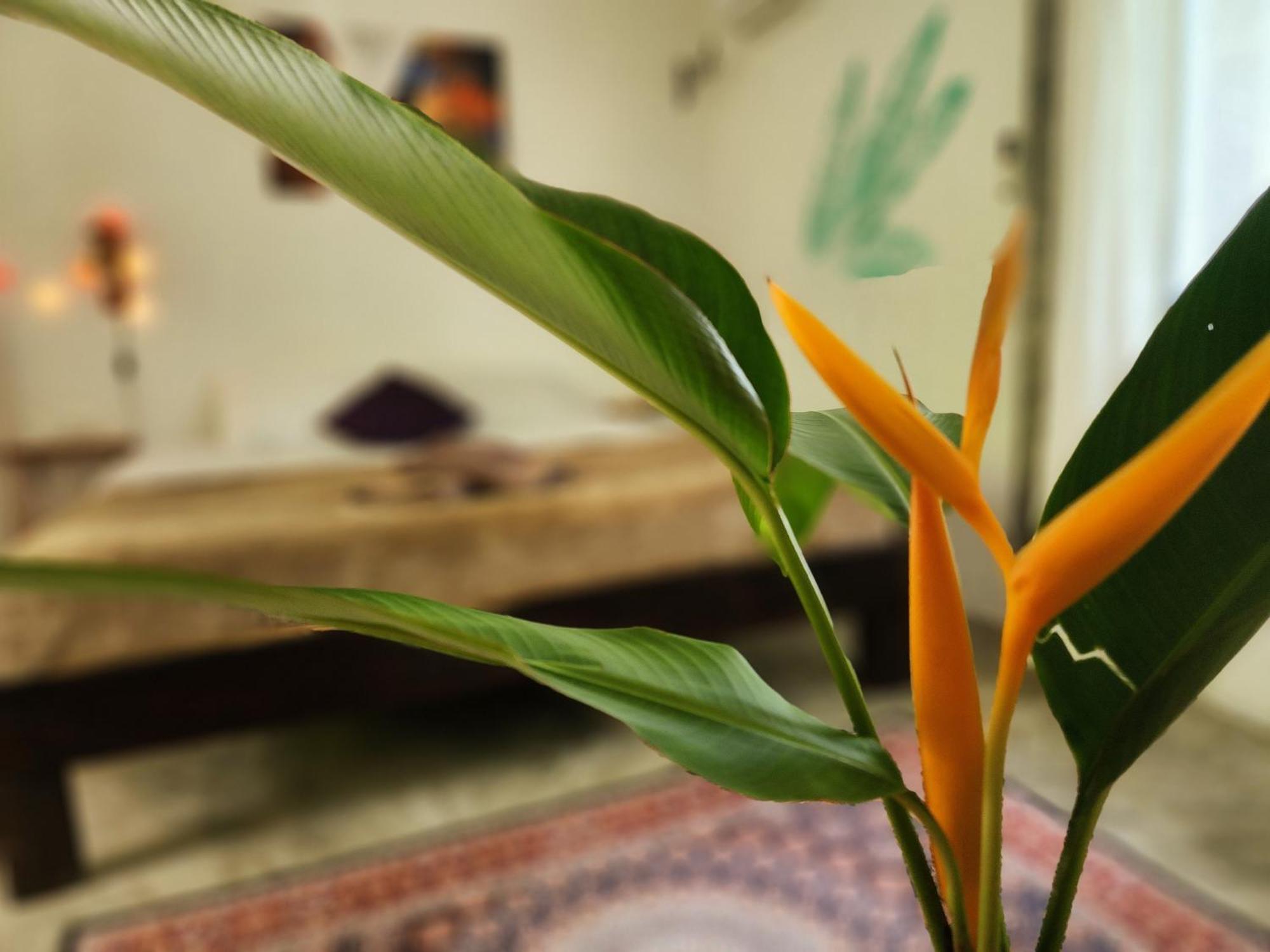 Feel Home No 3 Private House 2Br Hinkong Ngoại thất bức ảnh